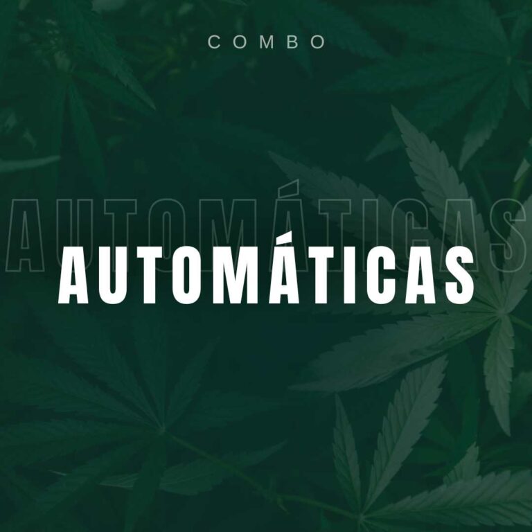 Combo Auto