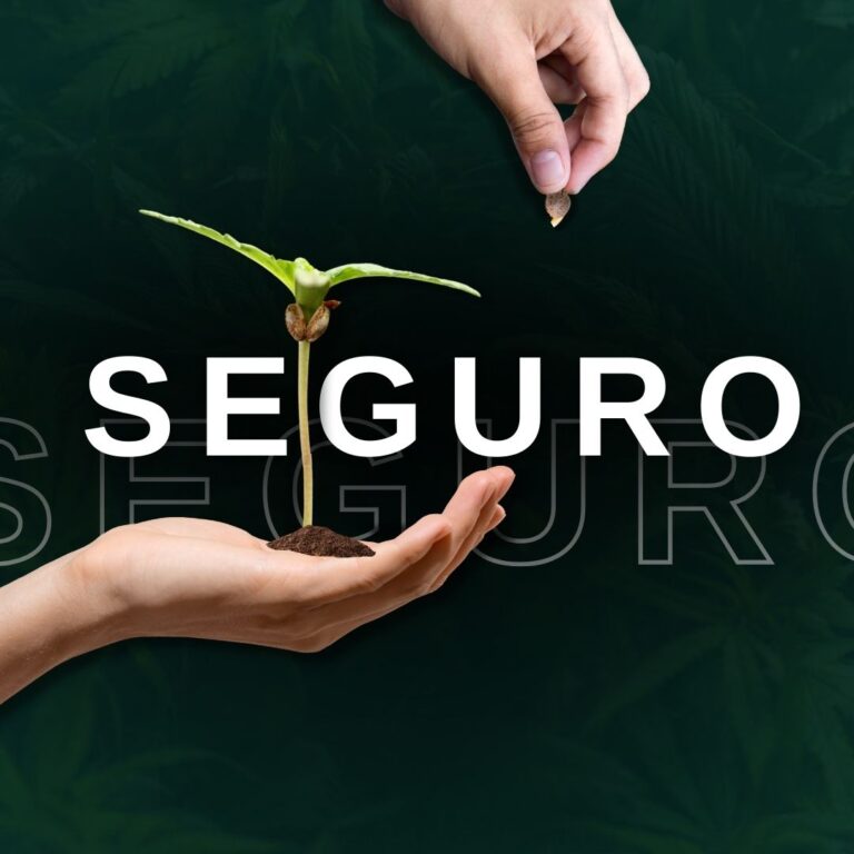 Seguro NSB